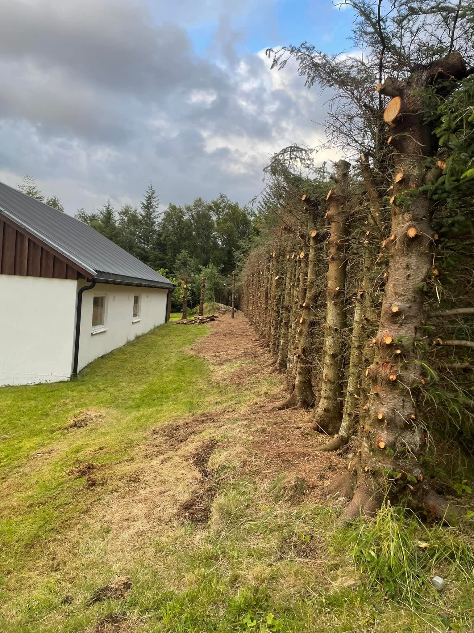 Trefelling